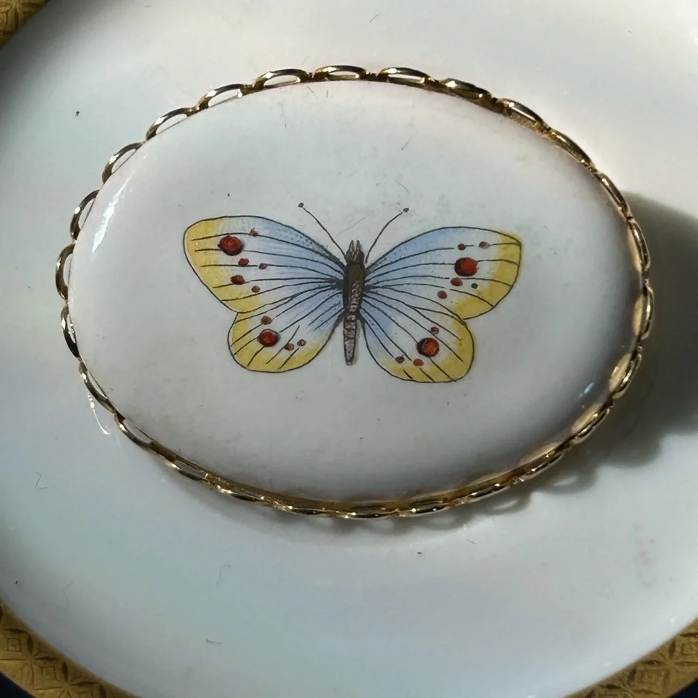 Vintage Porcelain Butterfly Cameo Brooch
